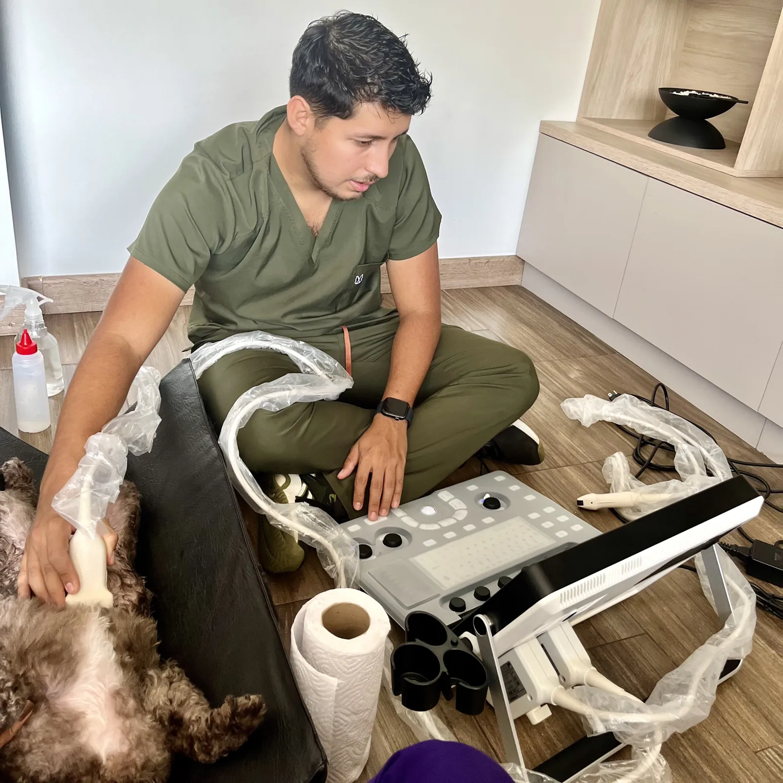 Dr. Jefferson López haciendo una ecografía a un perro en su casa en Cali