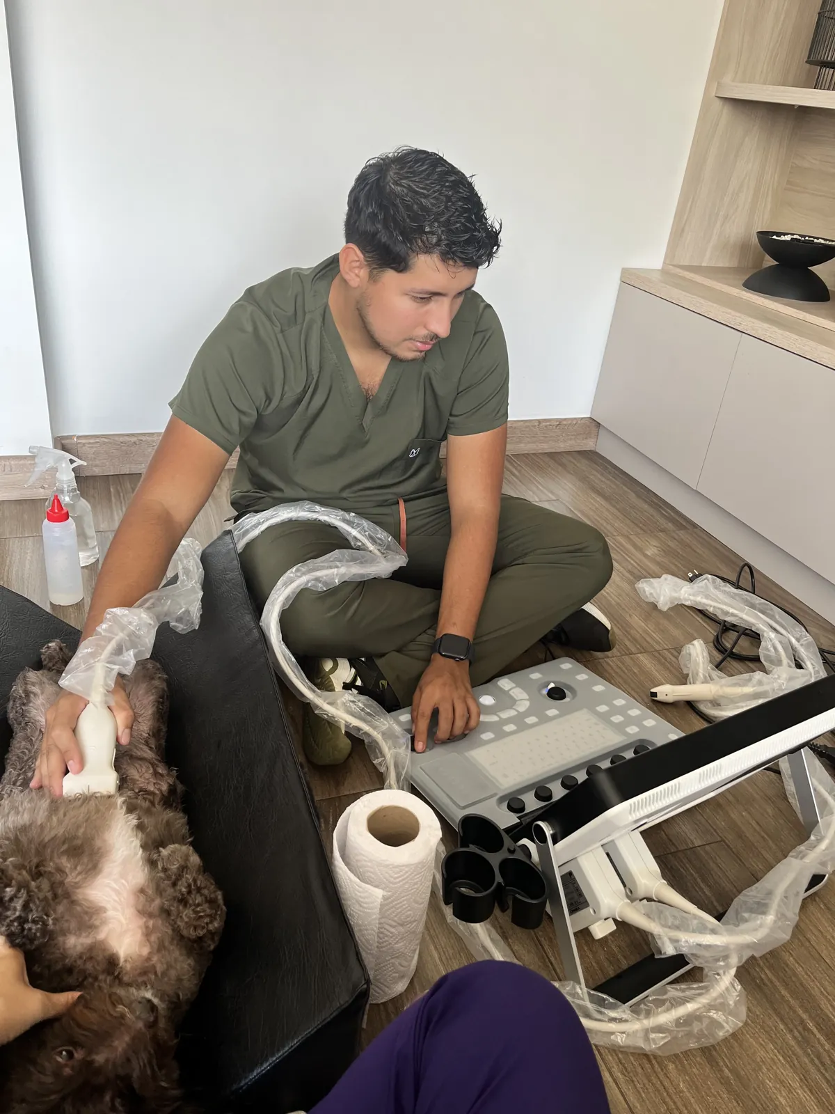 Dr. Jefferson López haciendo una ecografía abdominal a un perro en su casa