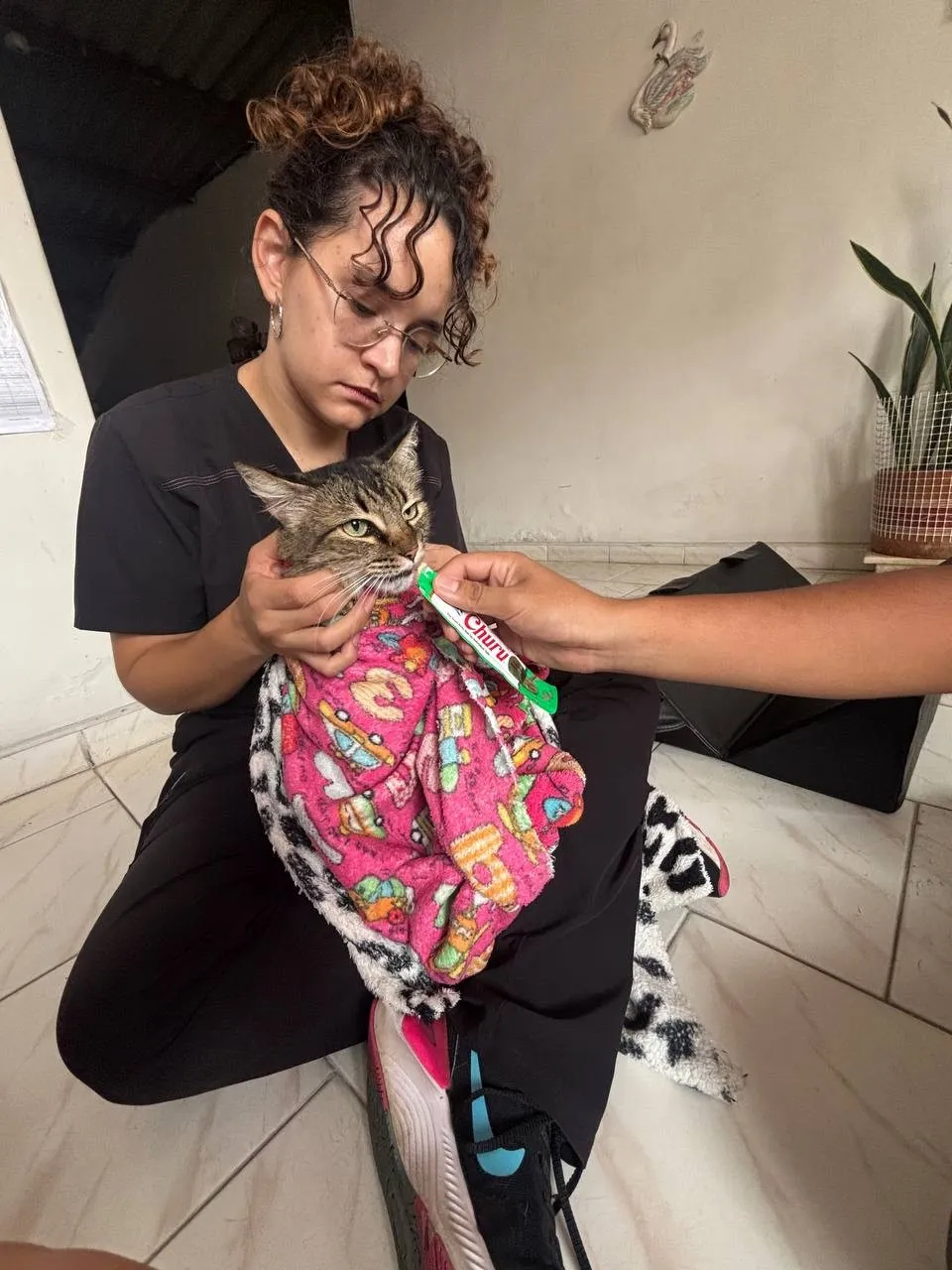 Dra. Angélica Abadía sosteniendo a un gato envuelto en una cobija durante la consulta