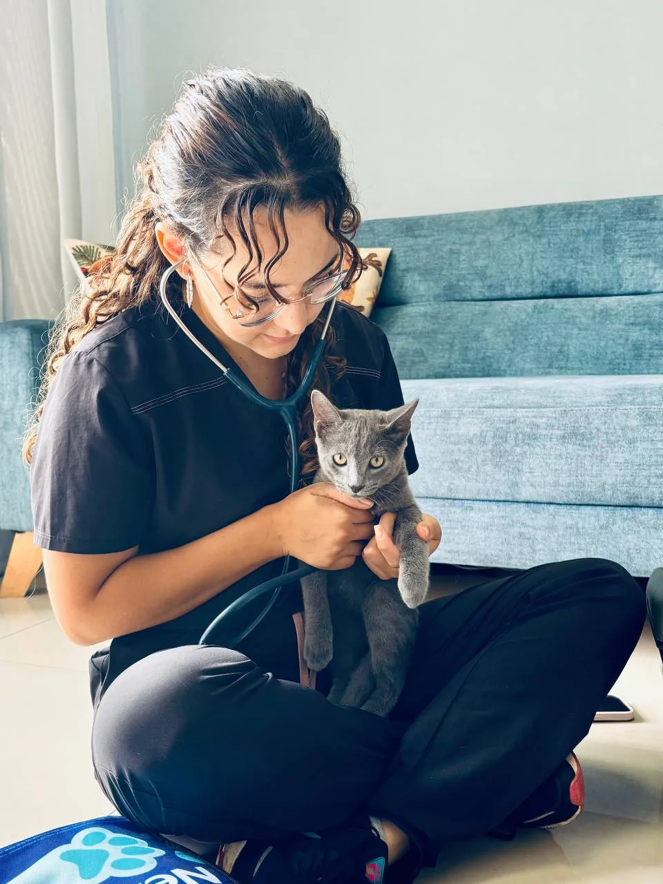 Dra. Angélica Abadía auscultando a un gato gris en la sala de su casa en Cali